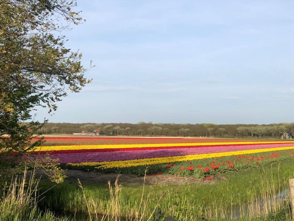 Sint Maartensvlotbrug Meno Mosso 빌라 외부 사진